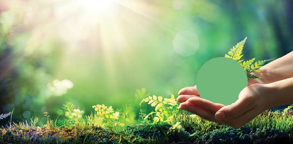 Hands Holding Globe Glass In Green Forest - Environment Concept - Usa elements of this image furnished by NASA