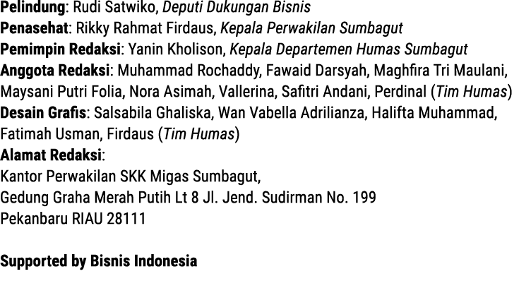 Pelindung: Rudi Satwiko, Deputi Dukungan Bisnis Penasehat: Rikky Rahmat Firdaus, Kepala Perwakilan Sumbagut Pemimpin ...