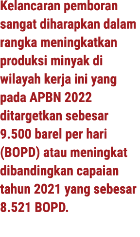 Kelancaran pemboran sangat diharapkan dalam rangka meningkatkan produksi minyak di wilayah kerja ini yang pada APBN 2...
