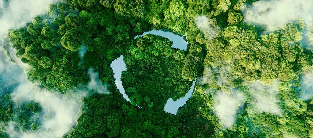 Abstract icon representing the ecological call to recycle and reuse in the form of a pond with a recycling symbol in the middle of a beautiful untouched jungle. 3d rendering.